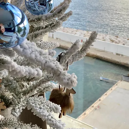 Au 526 Sur * バンドール