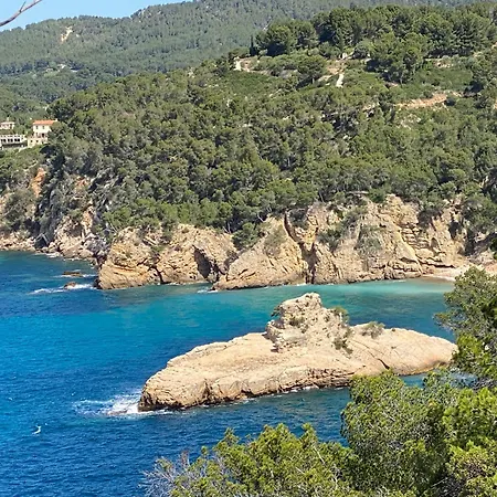 Au 526 Sur Bandol